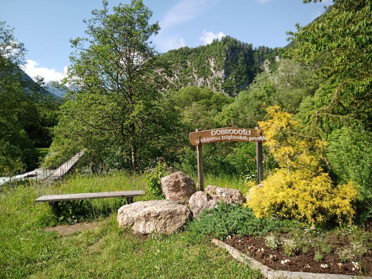 Gorski Biser Mojstrana Exteriör bild
