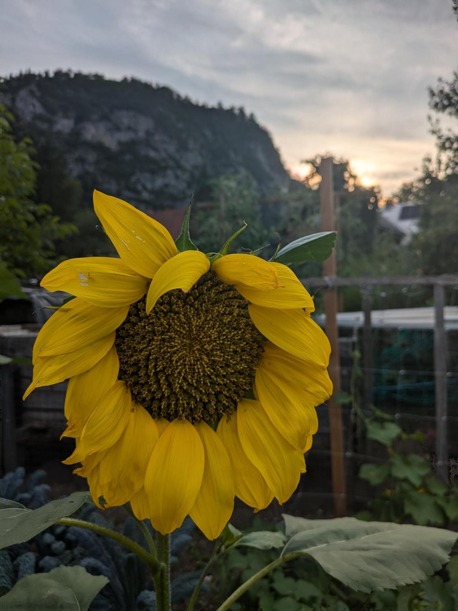 Gorski Biser Mojstrana Exteriör bild